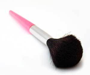 diffrrence between estee lauder and mac brush cleaner